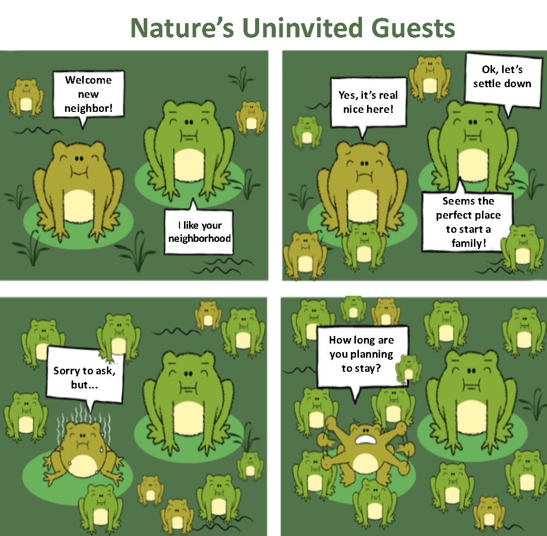 Nature’s Uninvited Guests
