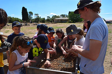 Make archaeological stories in Plasi